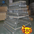 Chicken Cage For South Afraica